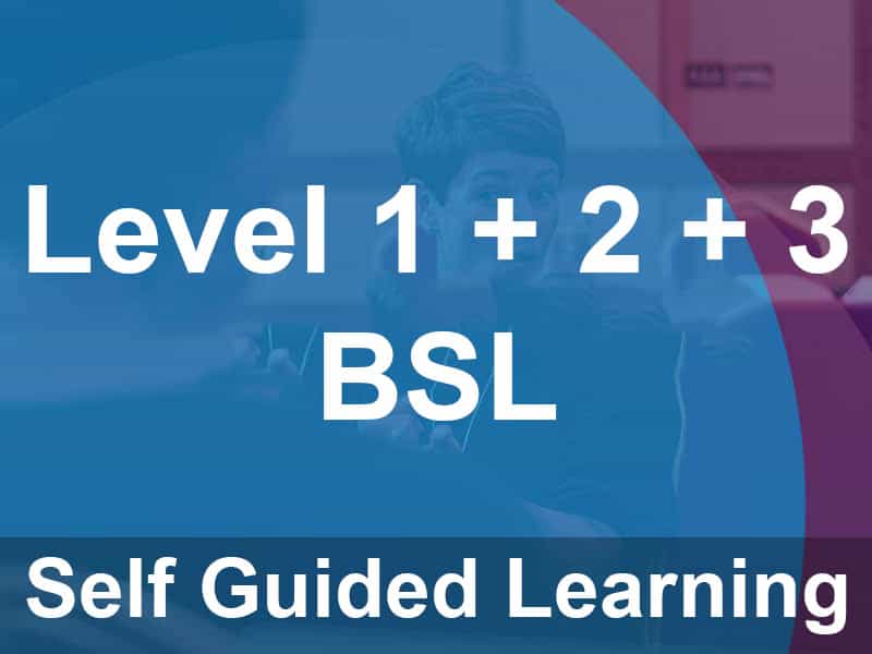 Text on a blue overlay reads "Level 1 + 2 + 3 BSL Self Guided Learning" over a blurred background of people in a classroom setting.