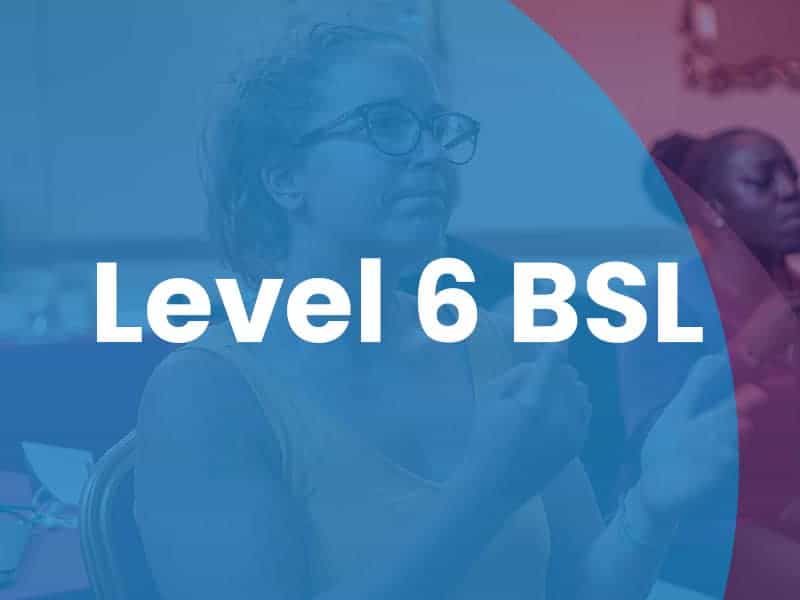 A person wearing glasses uses sign language, with the text "Level 6 BSL" displayed prominently over the image.